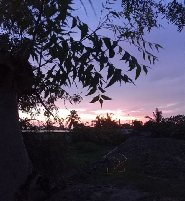 The image shows a beautiful sunset over a field, with silhouetted trees and buildings visible in the background. The sky has a mix of purple and orange hues, creating a serene atmosphere. The photo appears to be taken during the evening hours, as indicated by the low light conditions. The post features an image of a tree branch with leaves against the backdrop of the sunset, accompanied by text that reads "Good night dear all X fam. Wishing you a peaceful night under a sky full of stars."