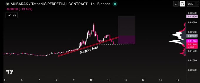 The image shows a 1-hour candlestick chart of the MUBARAK/USDT perpetual contract on Binance, displaying a 13.16% decline to 0.01845, with a highlighted "Support Zone" marked by a rising trendline where price has bounced. The chart illustrates the potential stopping point of the recent pullback, suggesting the asset is testing a key support level for a possible reversal.