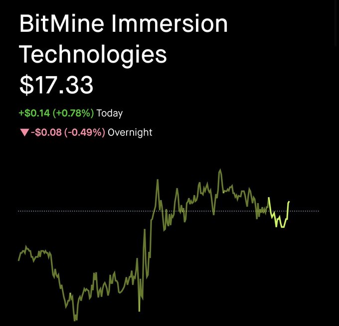 A stock chart shows BitMine Immersion Technologies (BMNR) trading at $17.33, up $0.14 (+0.78%) for the day after dipping -$0.08 (-0.49%) overnight. The chart displays a sharp upward trend from a lower trading range to higher levels, suggesting positive momentum despite the post's ambiguous "yas" reaction.