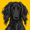 A black long-haired dog sits against a bright yellow background. The post expresses affection for Binance, mentioning @cz_binance, @binance, and @BNBCHAIN, but no dog-related text is visible in the image.