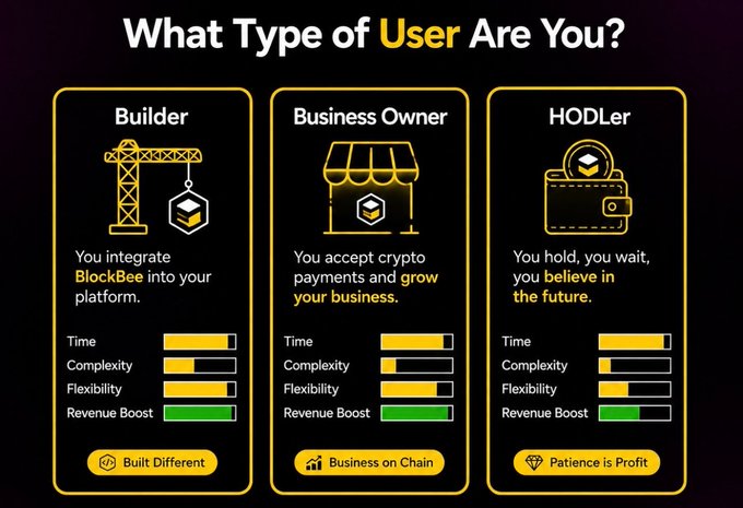 The image is a "What Type of User Are You?" infographic from BlockBee that categorizes crypto users into three personas—Builder, Business Owner, and HODLer—each with attribute bars for Time, Complexity, Flexibility, and Revenue Boost, paired with taglines "Built Different," "Business on Chain," and "Patience is Profit." It visually reinforces the post's message that BlockBee's single infrastructure serves diverse crypto use cases, from platform integration and business payments to long-term holding.