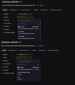 A cryptocurrency wallet interface showing 'Address details' with balance information for an ERC-20 token, including $132,767.91 ETH value and a '0xb21bb...' address.
