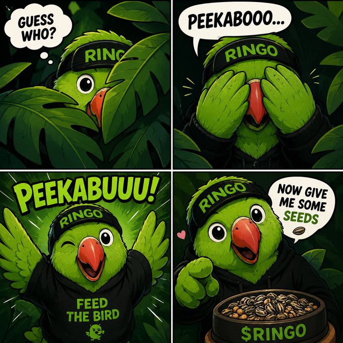 A green parrot character, wearing a black bandana and hoodie, appears to be peeking out from behind a tree with the text "Peekaboo! Ringo! Feed The Bird!"