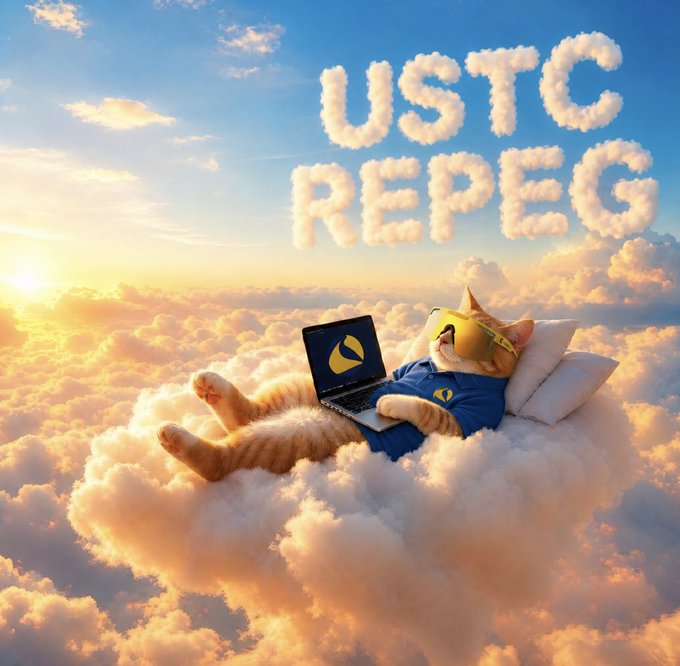 A cartoon cat lounges on a cloud wearing a sleep mask and a t-shirt, using a laptop while "USTC REPEG" is spelled out in clouds above. The dreamy, relaxed scene illustrates the post's call for the Terra Classic community to focus on a USTC repeg as essential for a real $LUNC uptrend.
