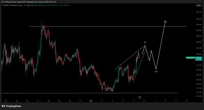 The image displays a TradingView chart of the TAO/USDT Perpetual Contract on Bybit, captured on September 5, 2025, at 14:42 UTC, showing price action near $233.69. A white technical pattern is overlaid on the candlestick chart, marking a "(iii)" high near $246 and a "(iv)" low around $228, with an upward arrow projecting toward the $260-$267 resistance zone and horizontal support noted near $212. This visually supports the post's mention of an "$TAO Update" by illustrating a potential Elliott Wave (3)-(4) setup anticipating a bullish breakout.