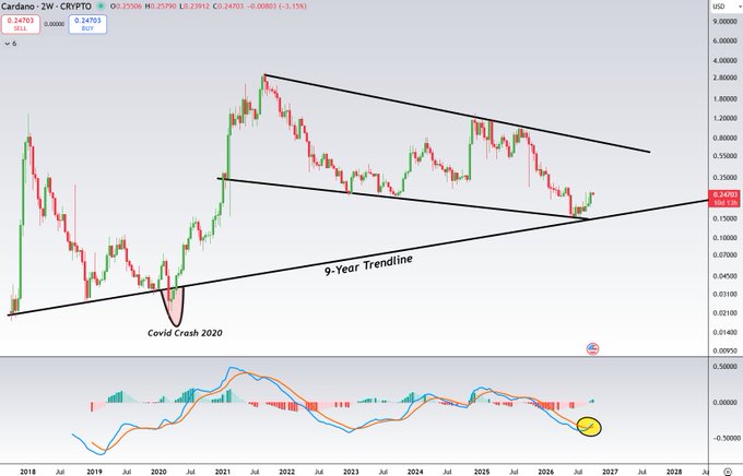 A financial chart showing Cardano (ADA) cryptocurrency on a ZW-CRYPTO platform, featuring a 9-Year Trendline in a symmetrical triangle pattern, with annotations marking the 'Covid Crash 2020' and current price of 0.24761.