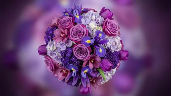 A vibrant floral bouquet featuring purple roses, white hydrangeas, and purple irises against a blurred purple background.