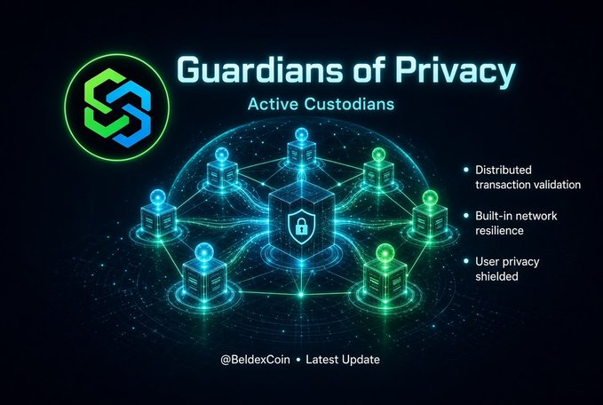 A crypto-themed promotional graphic titled 'Guardians of Privacy: Active Custodians' from @BeldexCoin, highlighting features like distributed transaction validation, built-in network resilience, and user privacy shielded, with a 3D network illustration.