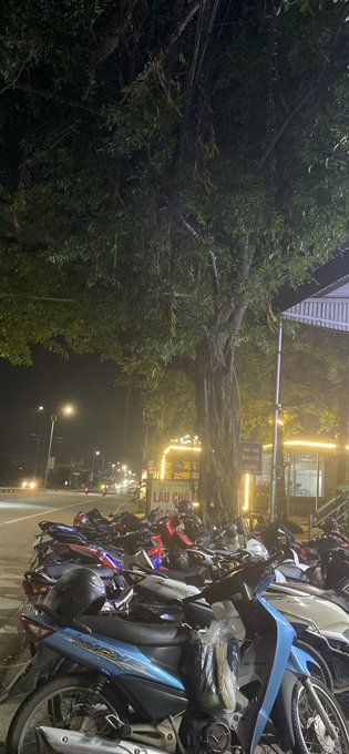 A nighttime street scene featuring a row of parked motorcycles and scooters in the foreground, with a large illuminated tree and a glowing 'LẨU CHÓ' sign visible behind them.