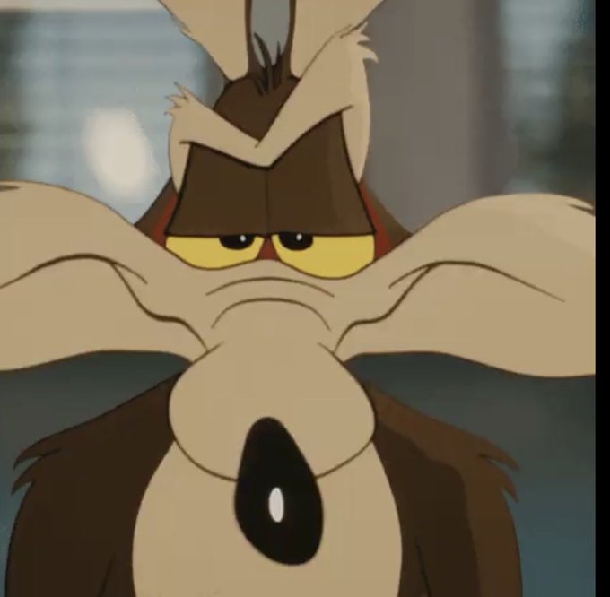 A cartoon image of Wile E. Coyote looking dazed with his eyes crossed and mouth open, a classic Looney Tunes expression of confusion or being stunned.