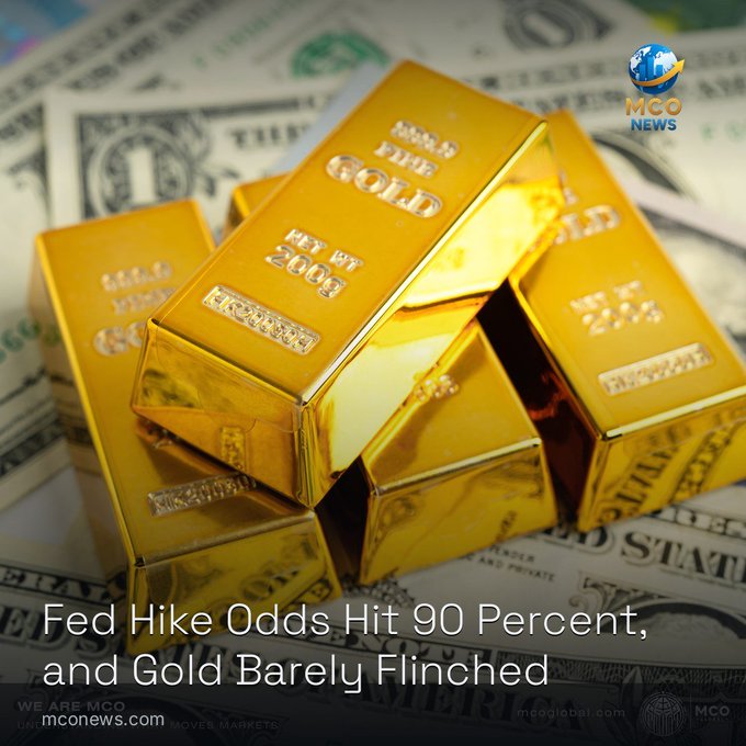 Several shiny gold bars labeled '999.9 FINE GOLD' are stacked on a bed of US dollar bills, with the headline 'Fed Hike Odds Hit 90 Percent, and Gold Barely Flinched' and an 'MCO News' logo in the corner.