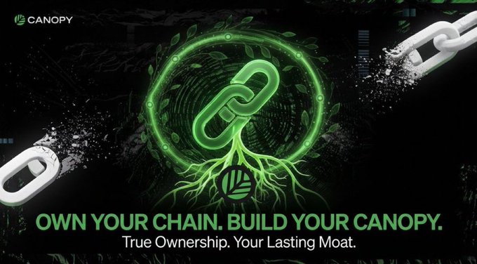 A promotional graphic for 'Canopy' featuring a glowing green chain link with roots, displaying the text 'OWN YOUR CHAIN. BUILD YOUR CANOPY.' and 'True Ownership. Your Lasting Moat.'