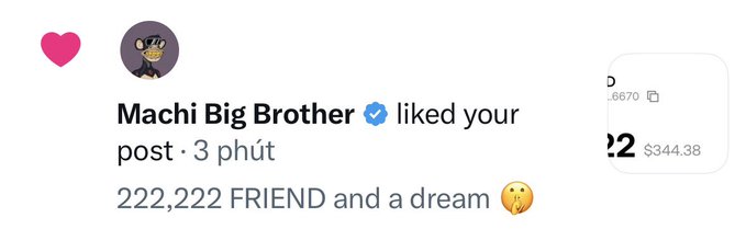 A social media notification showing that 'Machi Big Brother' (verified account with a cat avatar) liked a post that reads '222,222 FRIEND and a dream' with a money-mouth face emoji.