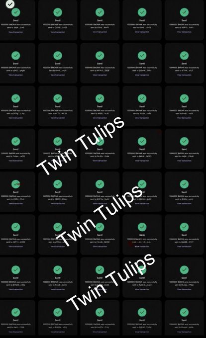A screenshot showing a grid of green checkmarks with transaction confirmations, overlaid with the text 'Twin Tulips' repeated multiple times diagonally across the image.