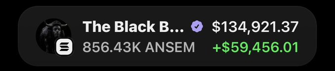 The image shows a trading position card for "The Black B..." with a value of $134,921.37, holding 856.43K ANSEM tokens, and displaying a profit of +$59,456.01 in green. This visually represents the poster's claim of having a six-figure ANSEM position that is significantly up, supporting their argument about adding another $10,000 to their undervalued holdings.