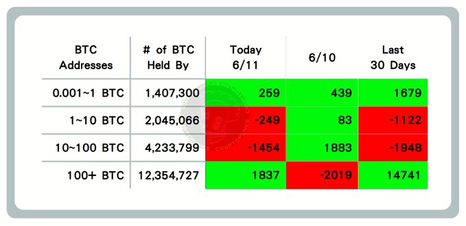 The image displays a table of Bitcoin trade data, with the title "Bitcoin On-chain Data Today". The table features the number of transactions, the amount of cryptocurrency, and the date, with each row representing one day's worth of trading. There are multiple columns, indicating various aspects of the Bitcoin market such as transaction count, amounts, and dates. The image also includes a line chart to help visualize trends in the data over time. 

The post provides information about Bitcoin on-chain activity, specifically focusing on the most recent data for a specific date (6/6/11), and possibly the last few days if we are looking at daily information. The text "Today 6/6/11 $BTC 100+ Large Whales Buying" is part of the post's content. This image could be useful for Bitcoin enthusiasts to understand trading patterns, price movements, and market sentiment related to Bitcoin on-chain data.