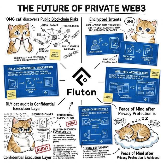 An infographic titled "THE FUTURE OF PRIVATE WEB3" by Fluton, featuring illustrated cats explaining privacy concepts like encrypted intents, fully homomorphic encryption, anti-MEV architecture, secure enclaves, and cross-chain privacy bridges. The post highlights Fluton's focus on innovation and community growth in the Web3 privacy space, aligning with the infographic's message about building a more secure and private decentralized future.