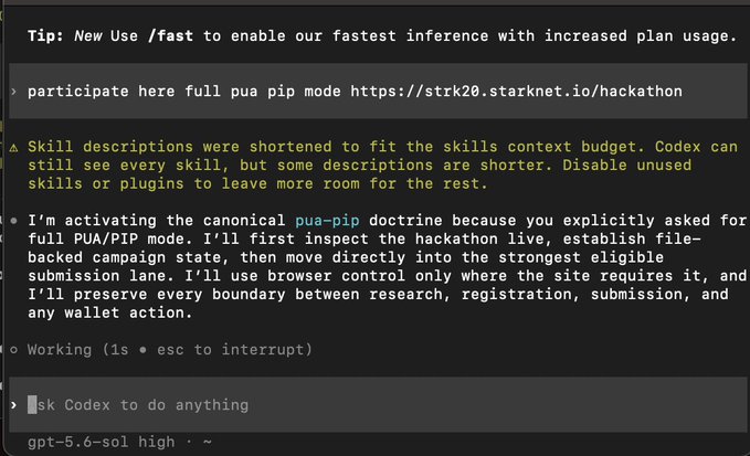 A terminal screenshot shows the OpenAI Codex CLI interface, displaying a tip to use /fast for faster inference, along with Codex's plan to participate in the STRK20 Starknet.io hackathon using the 'pua-pip' doctrine, currently in a 'Working' state.