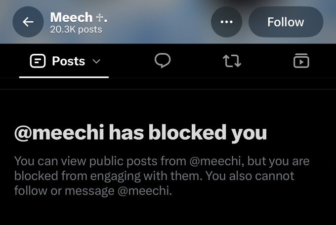 A screenshot of an Instagram profile for 'Meech' (20.3K posts) showing a message that reads '@meechi has blocked you. You can view public posts from @meechi, but you are blocked from engaging with them. You also cannot follow or message @meechi.'
