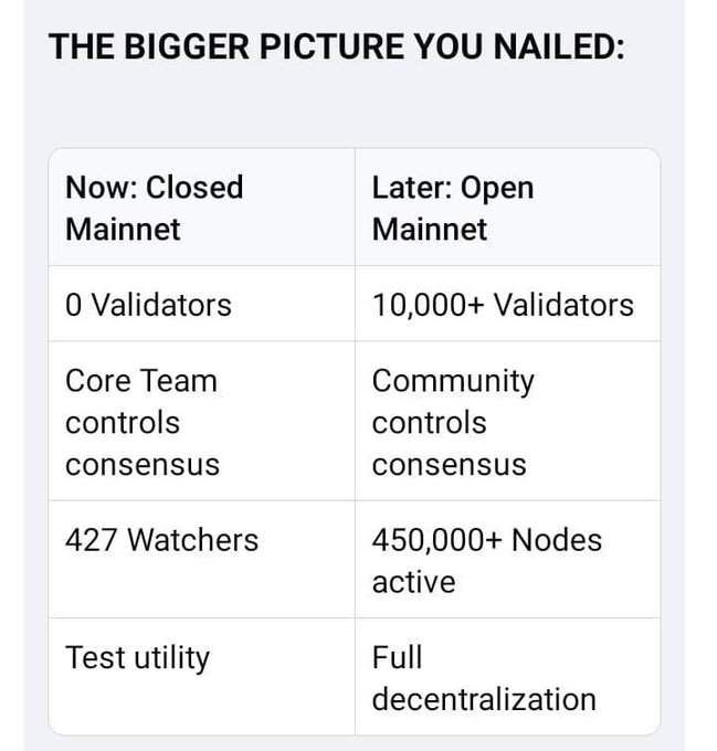 A comparison table titled "THE BIGGER PICTURE YOU NAILED:" contrasting "Now: Closed Mainnet" (0 Validators, Core Team controls consensus, 427 Watchers, Test utility) with "Later: Open Mainnet" (10,000+ Validators, Community controls consensus, 450,000+ Nodes active, Full decentralization).