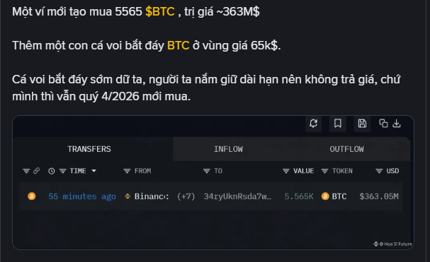 A social media post in Vietnamese discussing Bitcoin ('BTC'), mentioning a whale buying 5,565 BTC for ~363M$, accompanied by a 'TRANSFERS INFLOW' data table showing a transfer of '5.565K BTC' valued at '$363.05M' on the 'Nova S Futurus' platform.