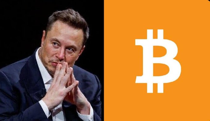 Elon Musk sits with his hands clasped, appearing contemplative in a dark suit, alongside a large white Bitcoin "₿" symbol on an orange background. The image visually represents Musk's argument linking Bitcoin's value to its energy-based proof-of-work foundation.