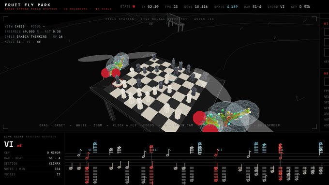 A dark computer interface for a project titled 'FRUIT FLY PARK' displaying a 3D chessboard with pieces and colorful wireframe spheres, alongside a musical score panel for 'VI mi' with various notes and chords.