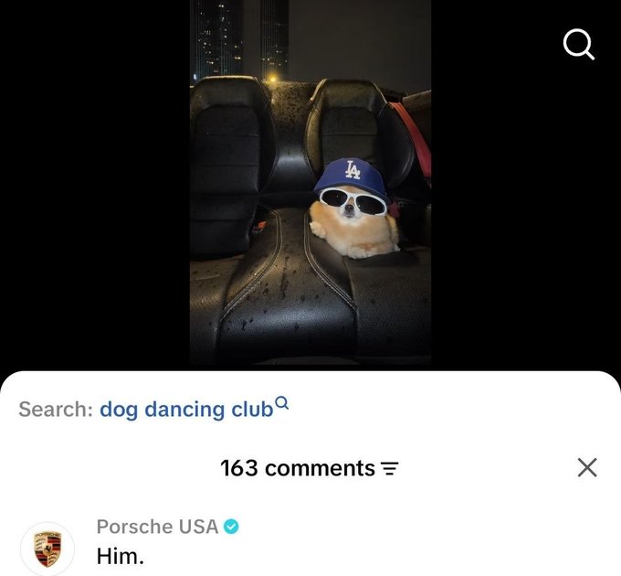 A social media screenshot showing a small dog wearing an LA Dodgers cap and sunglasses sitting on a black leather car seat, with a comment from "Porsche USA" reading "Him." after a search for "dog dancing club".