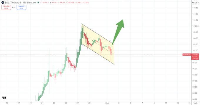 A 4-hour SOL/USDT chart on Binance shows price trading around $100.61 (+1.39%) within a yellow descending bull flag pattern, with a green arrow pointing upward suggesting a bullish breakout continuation. The annotation highlights the short-term bull flag formation within Solana's broader uptrend.