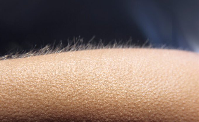 A macro photograph of human skin with fine body hairs standing on end, creating a textured, raised surface against a dark background. The image visually evokes the concept of "goosebumps," fitting the post's "Built on Sonic" theme by suggesting a reaction or response to the music.