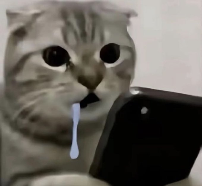A grainy image of a cat looking at a smartphone with large, tearful eyes and a blue cartoon tear drawn dripping from its mouth.