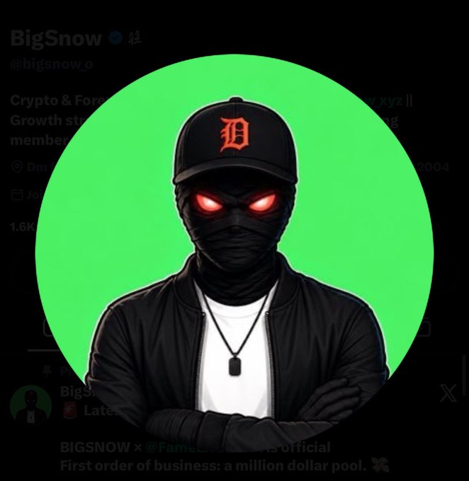 A digital avatar with a black cap bearing a red 'D' logo, a black face mask, and glowing red eyes, set against a bright green circular background; visible text includes 'BigSnow @bigsnow.o' and 'First order of business: a million dollar pool.'