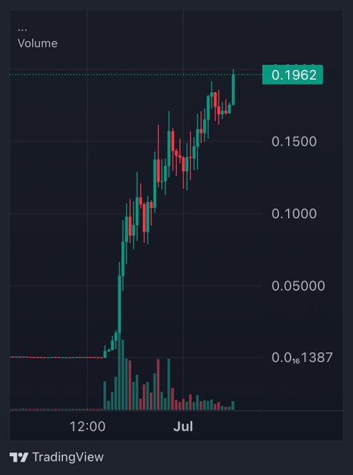 A TradingView candlestick chart displays a strong upward price trend in July, with volume bars and the current price marked at 0.1962.