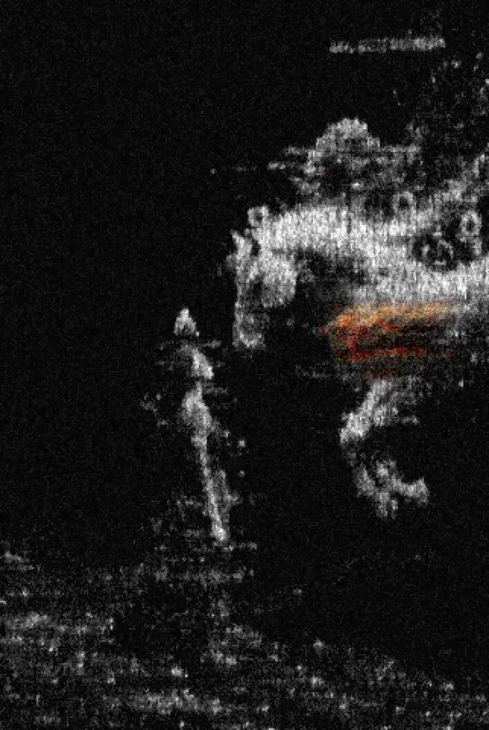 None