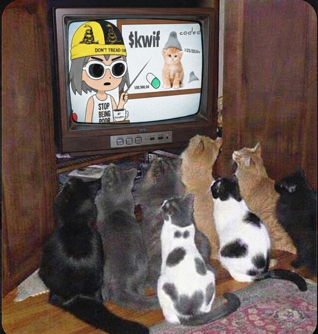 Several cats gathered around an old wooden TV displaying a cartoon character in a 'DON'T TREAD ON' hat and a 'STOP BEING DUMB' shirt, alongside a kitten labeled '$kwif'.