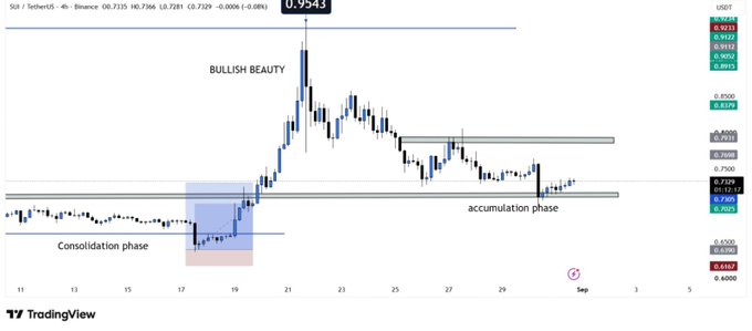 A TradingView chart of SUI/USDT on a 4-hour timeframe shows price action labeled with "BULLISH BEAUTY," a "Consolidation phase" around $0.60, and an "accumulation phase" near $0.72–$0.76, illustrating the failed breakout setup referenced in the post where SUI failed to hold the $0.76 level.