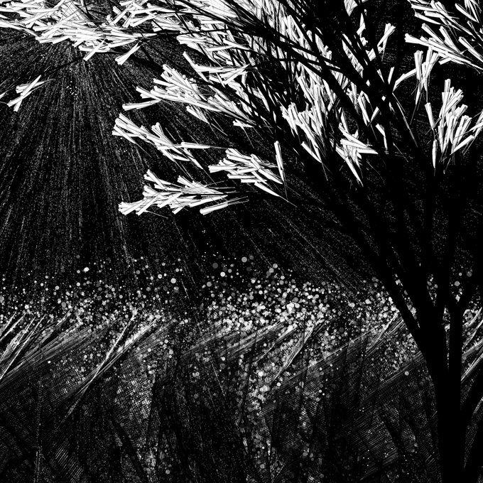 A black and white artistic image featuring white palm fronds and leaves contrasting against a dark background with scattered light specks.