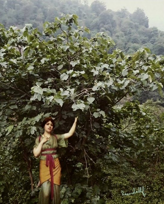 A vintage hand-tinted photograph shows a woman in a green and yellow dress posing next to large leafy foliage with trees in the misty background; signed 'Swanbrough' in the lower right corner.