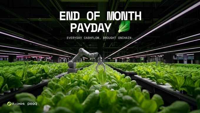 The image shows a modern automated vertical farming facility with a robotic arm tending to rows of lettuce under pink grow lights, overlaid with the text "END OF MONTH PAYDAY - EVERYDAY CASHFLOW. BROUGHT ONCHAIN." along with DualMint and peaq logos. The caption connects to the post by showcasing a real-world automated asset (the farming robot) as another example of DualMint's RWA approach, complementing their PLAY project's claw machines by demonstrating how tangible, revenue-generating machinery—not just tokens—forms the foundation of onchain cashflow.