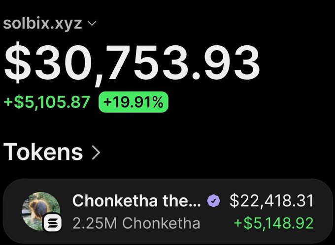 A screenshot from solbix.xyz displays a wallet portfolio valued at $30,753.93, showing a gain of +$5,105.87 (+19.91%), with the top holding being "Chonketha" at $22,418.31 (2.25M tokens, +$5,148.92), illustrating the post's claim of turning $295 into over $30,000 in profit.