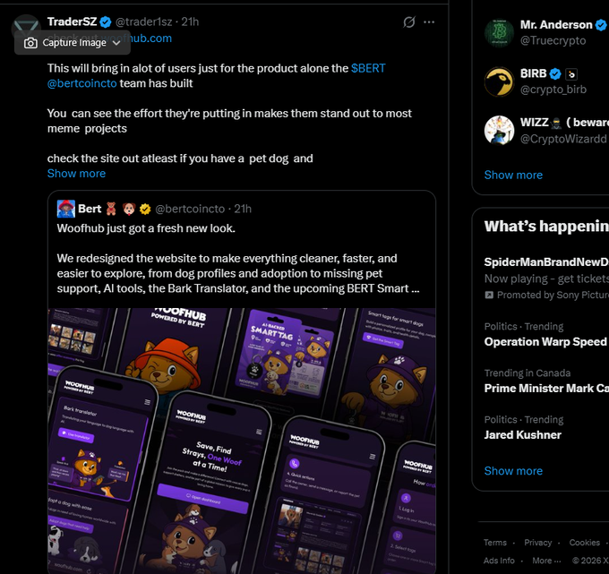 A Twitter/X post from @TraderSZ (@traderslz) showcases screenshots of the redesigned Woofhub website, quoting @bertcointo about a "fresh new look" featuring dog profiles, AI tools, and the upcoming BERT Smart. The post praises the $BERT team's effort in building the product, noting it stands out compared to meme projects.

The accompanying post criticizes someone involved in the crypto space for allegedly running scams (rug pulls) over the years, expressing frustration that respected figures remain friends with him without holding him accountable. The image itself doesn't directly reference the criticism but serves as the backdrop to the scathing commentary about crypto culture and accountability.