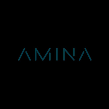 A minimalist logo displaying the name 'AMINA' in a thin, teal-colored stylized font on a dark gray background.