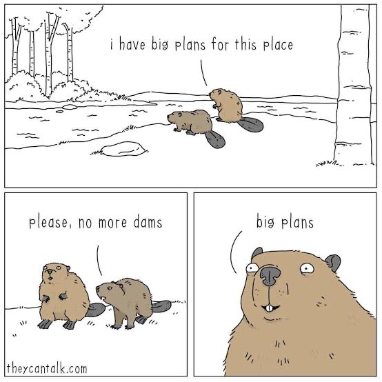 A comic strip showing two beavers near a stream with speech bubbles: 'i have big plans for this place,' 'please, no more dams,' and 'big plans,' creating a humorous pun about beavers' natural dam-building instincts.