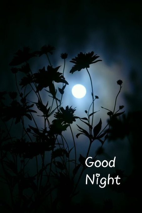 Silhouetted flowers frame a glowing full moon against a dark, cloudy night sky, with the text "Good Night" displayed in the corner. The serene nighttime scene visually reinforces the post's peaceful farewell to the $RIVER community, evoking a tranquil end to the day before tomorrow.