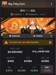 A cryptocurrency tracking screen for 'Big Titty Coin' (BTC) on the Solana (SOL) network via Meteora, showing a price of $0.0004383 and a market cap of $435K, with a warning that 'This pair has very little liquidity.'