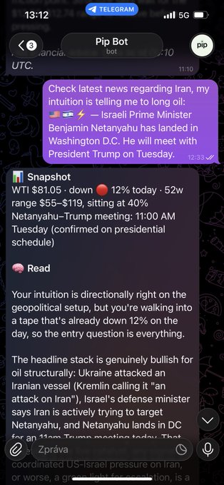 A screenshot of a Telegram chat with "Pip Bot" showing news that Israeli Prime Minister Benjamin Netanyahu has landed in Washington D.C. to meet President Trump, alongside an analysis noting WTI crude is down 12% to $81.05 but the geopolitical setup—including Ukraine attacking an Iranian vessel and Israel's defense minister targeting Iran—is "genuinely bullish for oil structurally." The image illustrates how Pip Bot combines market data, psychology, and geopolitics to validate the poster's bullish oil trade thesis.