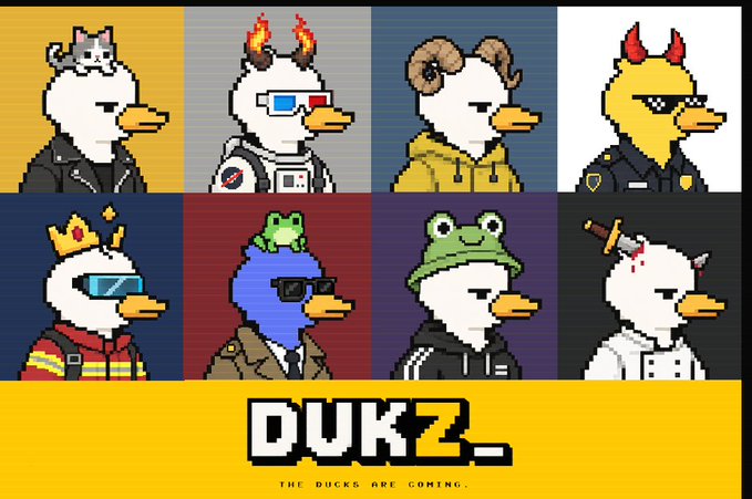 A promotional graphic for 'DUKZ_' NFT collection with the tagline 'THE DUCKS ARE COMING,' displaying eight pixel-art duck characters with various accessories including horns, crowns, frog hats, and sunglasses.