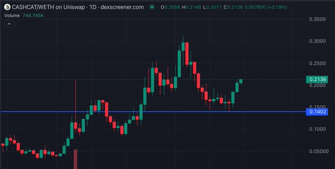 A candlestick chart from dexscreener.com showing the CASHCAT/WETH trading pair on Uniswap V1 with a current price of 0.2136 WETH, down 3.79%.