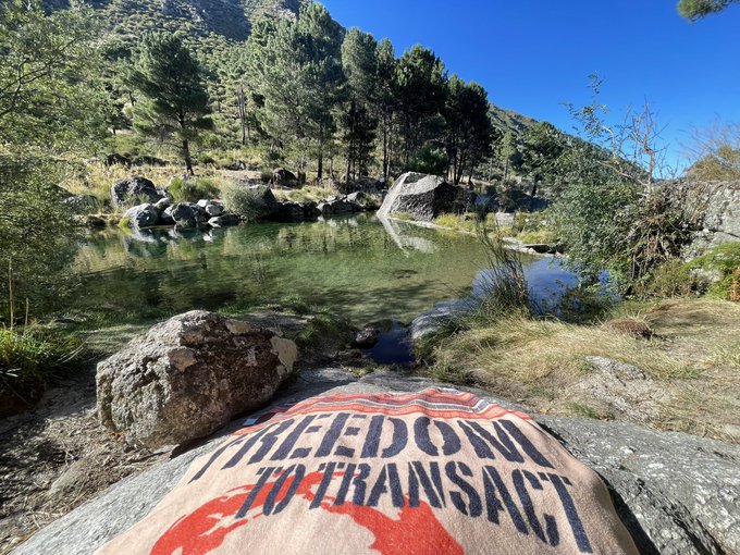 A scenic mountain landscape with a clear green lake and pine trees, featuring a tote bag in the foreground that reads 'THE EDNA TO TRANSACT' over a red graphic.