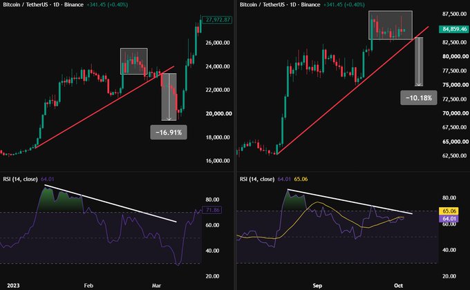 Two Bitcoin/TetherUS charts from Binance showing candlestick patterns with RSI indicators, displaying price drops of -16.91% and -10.18%.